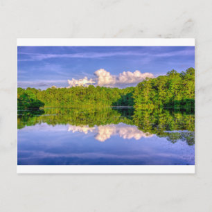 Sesqui Lake Postcard