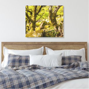 Sessile oaks and moss in Wistman's Wood Canvas Print