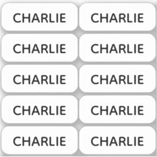 Set of 10 Simple Small Name Labels Rounded Corners