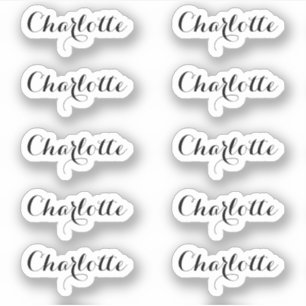 Set of 10   Small Elegant Script Name