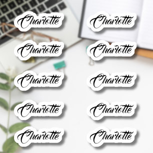 Set of 10 Small Elegant Script Name