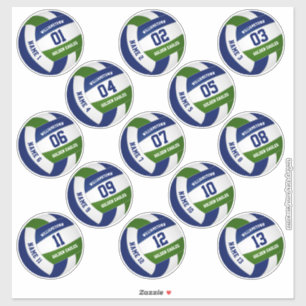 Set of 13 custom players' blue green volleyball