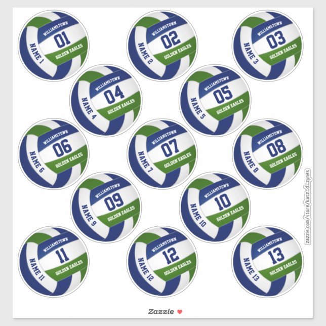 Set of 13 custom players' blue green volleyball (Sheet)