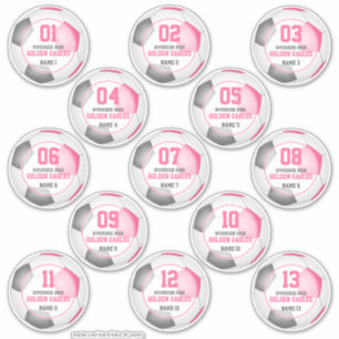 Set of 13 girls pink grey soccer team spirit
