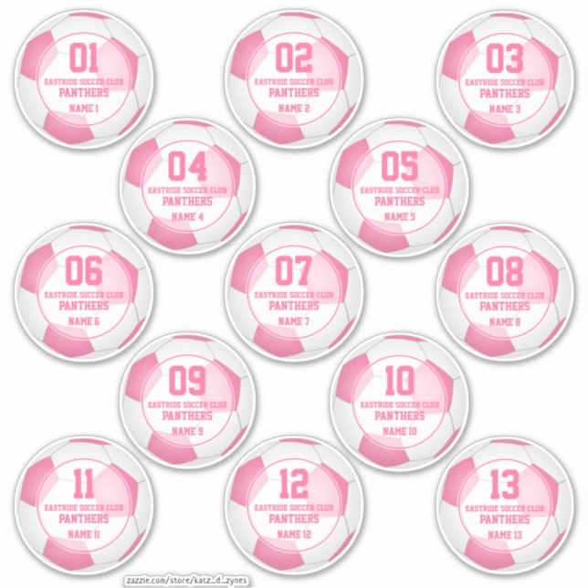 Set of 13 girls pink soccer club team spirit (Front)