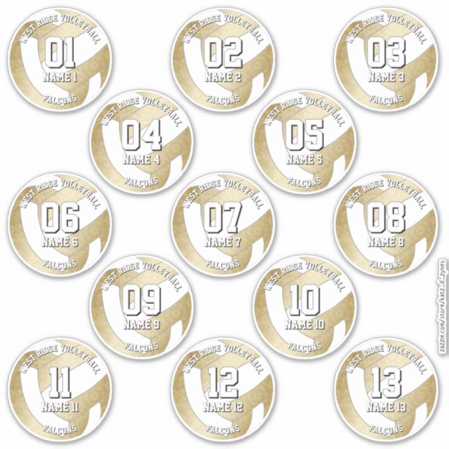  set of 13 girly golden volleyball players names (Front)
