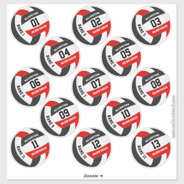 Set of 13 red black team colours volleyball (Sheet)