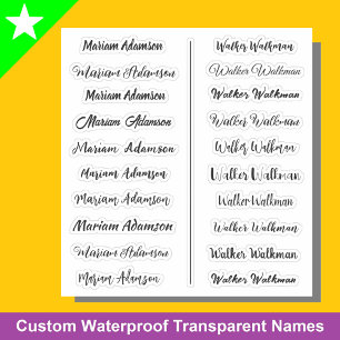 (Set of 20) Black Transparent Simple Name Stickers
