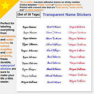 (Set of 30 Tags) Transparent Simple Name Stickers