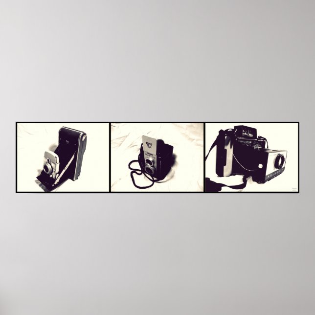 Set of 3 Old Cameras Poster (Front)