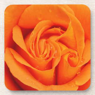Set of 6 drink coasters Orange rose flower retro