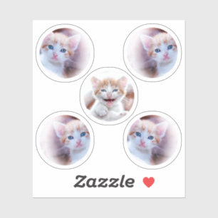 Set of Five Circle Shape Photos