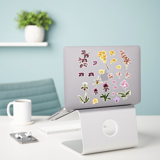 Set of tropical orchids flowers elements. (Laptop On Desk)