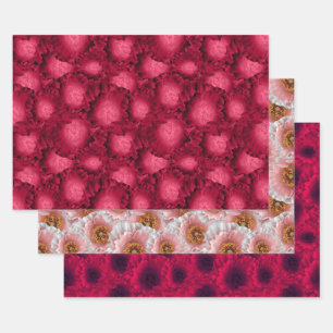 Set, poppies, floral pattern, flowers, pink, red wrapping paper sheet
