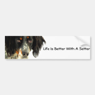 Setter Bumper Sticker