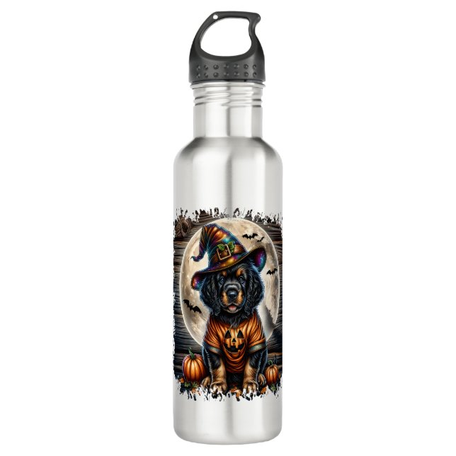 Setter Dog Halloween Square 710 Ml Water Bottle (Front)