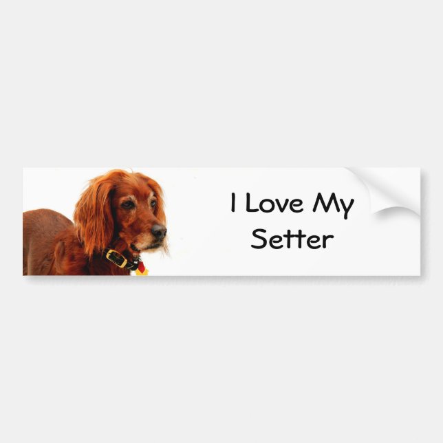 Setter Love Bumper Sticker (Front)