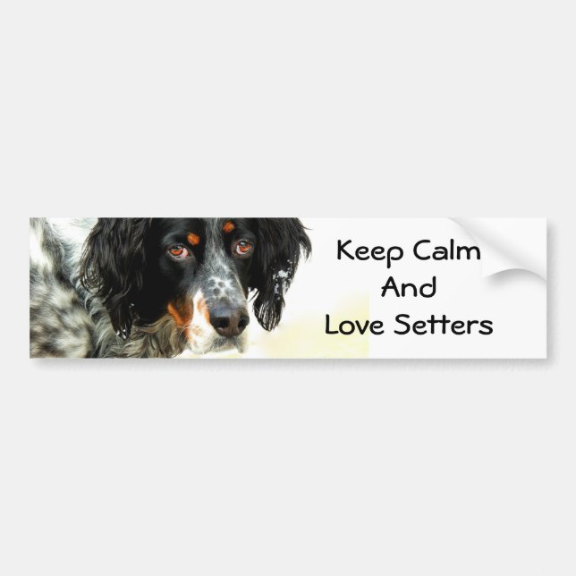 Setter Love Bumper Sticker (Front)