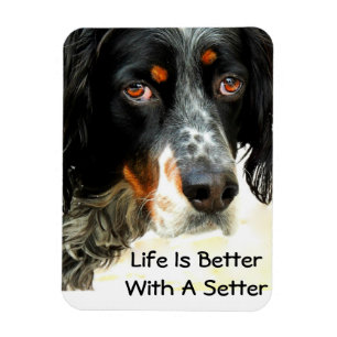 Setter Love Photo Magnet