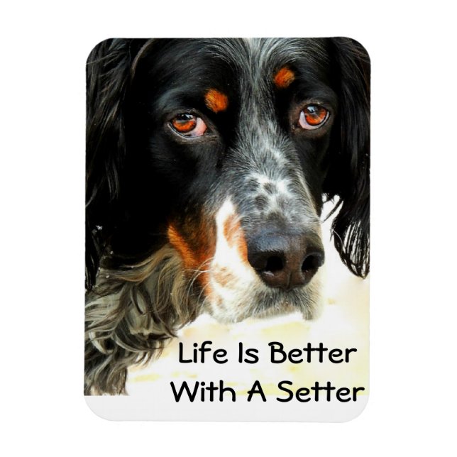Setter Love Photo Magnet (Vertical)