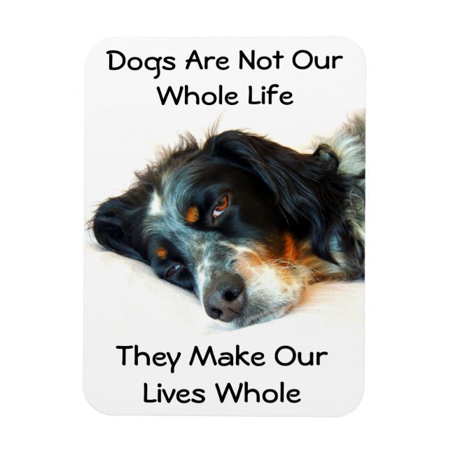 Setter Love Photo Magnet (Vertical)