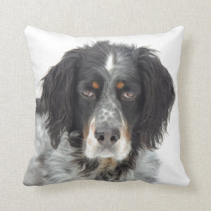Setter Love Pillow