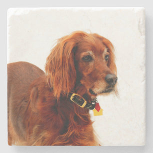 Setter Love Stone Coaster