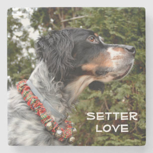 Setter Love Stone Coaster