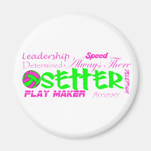 Setter Traits Magnet