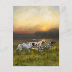 Setters Family   Postcard