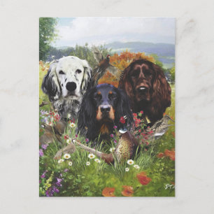 Setters Family  Postcard