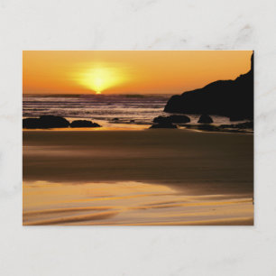 Setting Sun - Bandon, Oregon Postcard