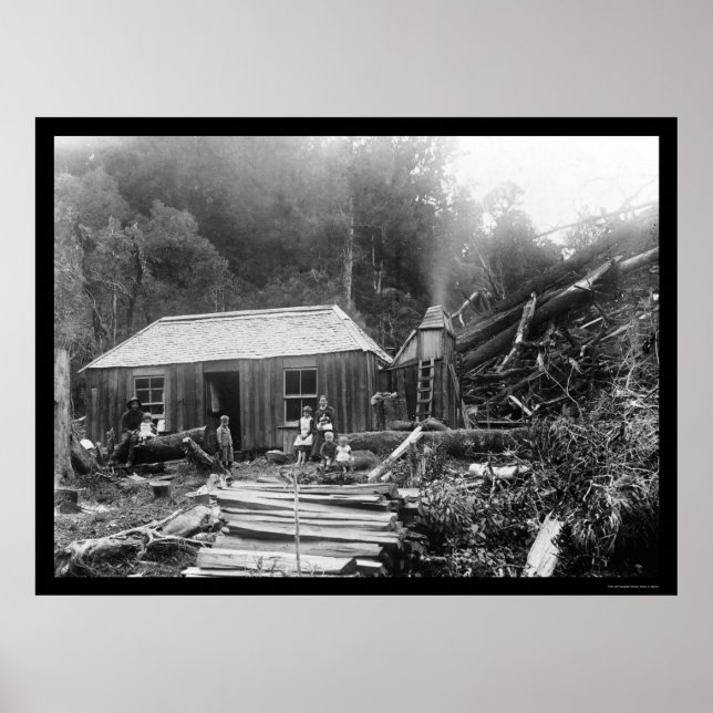 Settler Homestead in New Zealand 1906 Poster (Front)