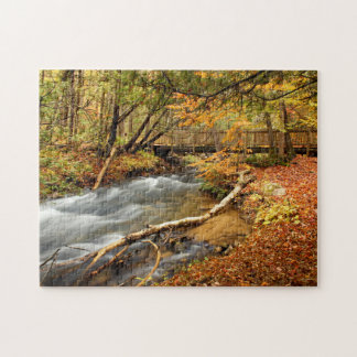 Seven Bridges Jigsaw Puzzle