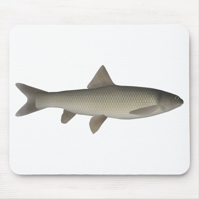 Seven Khramulya  Mouse Mat (Front)