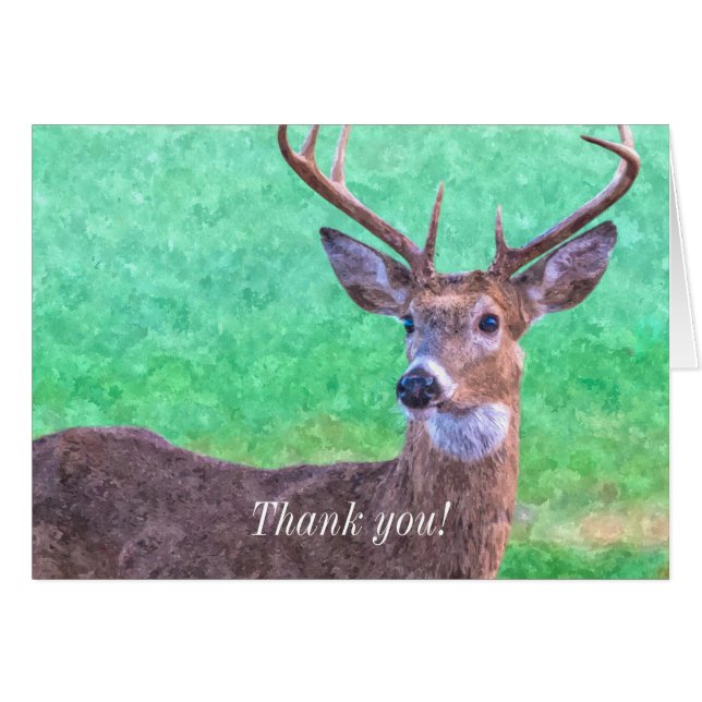 Seven Point Buck Painterly Thank You Card (Front Horizontal)