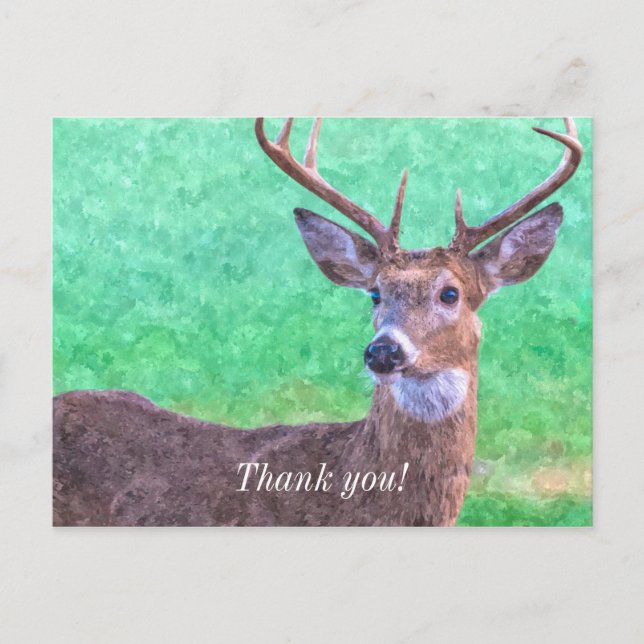 Seven Point Buck Painterly Thank You Postcard (Front)