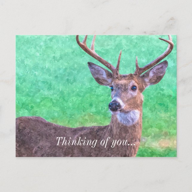 Seven Point Buck Painterly Thinking Of You Postcard (Front)
