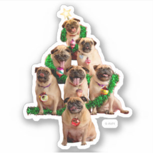 Seven Pugs-a-Posing