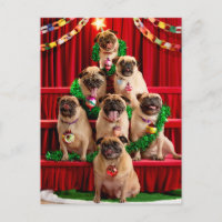 Seven Pugs-a-Posing