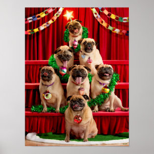 Seven Pugs-a-Posing Poster