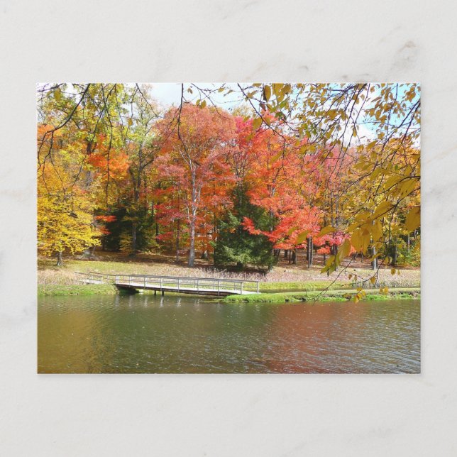 Seven Springs Fall Bridge III Autumn Landscape Postcard (Front)