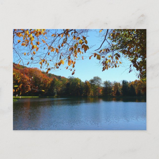 Seven Springs Fall Trees and Pond Postcard (Front)