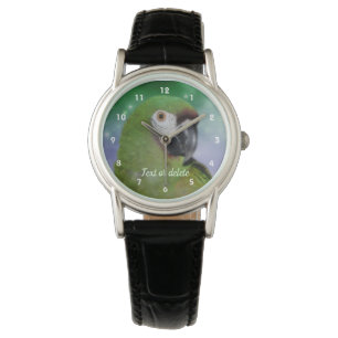 Severe Macaw Parrot Animal Personalised Watch