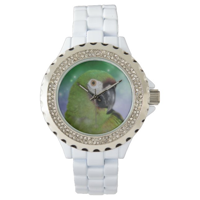 Severe Macaw Parrot Animal Watch (Front)