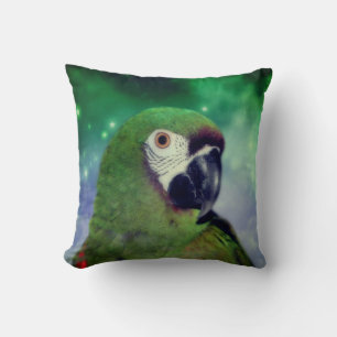 Severe Macaw Parrot Close Up  Cushion
