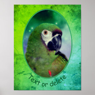 Severe Macaw Parrot Personalised Words Poster
