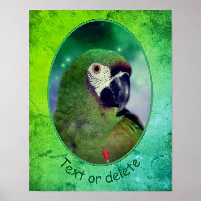 Severe Macaw Parrot Personalised Words Poster (Front)