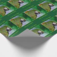 Severe Macaw Parrot Personalised