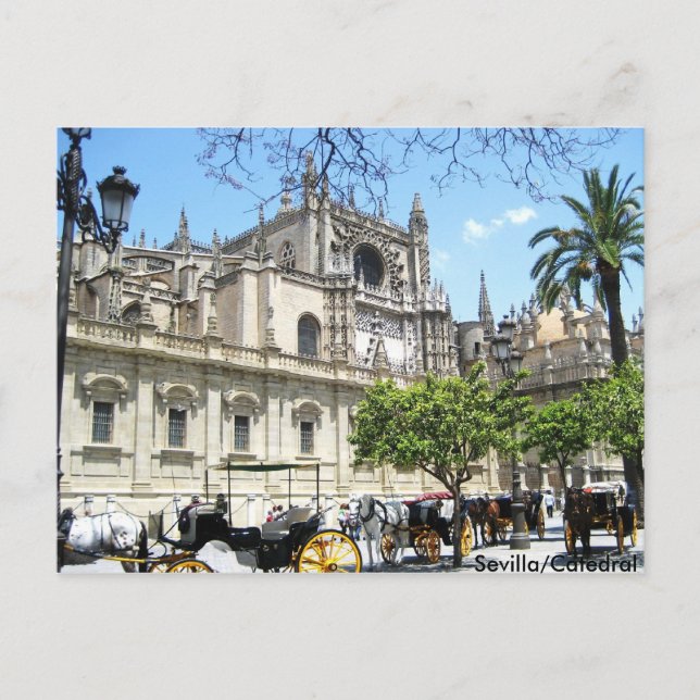 Sevilla/Catedral Postcard (Front)